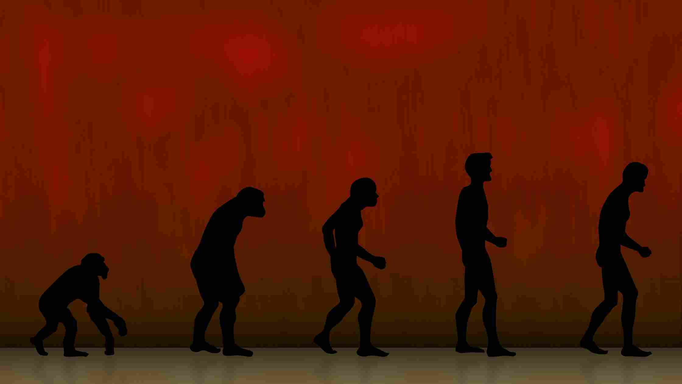 Why Do Many Christians Lean Toward Evolution? Understanding Darwin’s Impact on Modern Thought